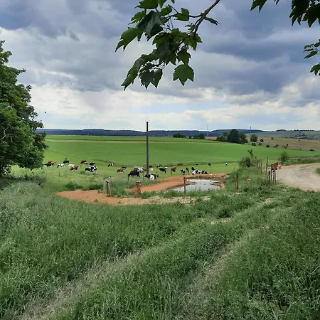 Hof Sorgenfrei * Buch (Rhein-Lahn)