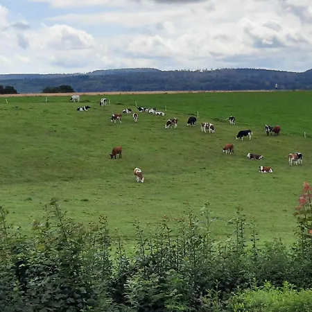 Hof Sorgenfrei Buch (Rhein-Lahn)