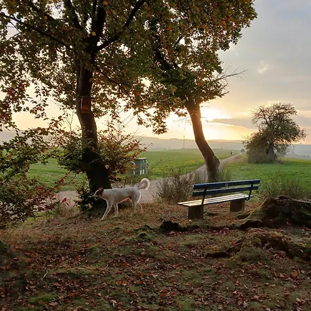 Hof Sorgenfrei Buch (Rhein-Lahn)