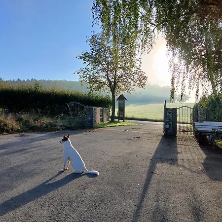 Lägenhet Hof Sorgenfrei *