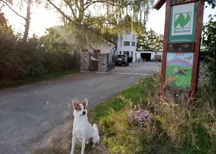 דירה Hof Sorgenfrei *