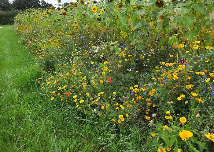 דירה Hof Sorgenfrei Buch (Rhein-Lahn)