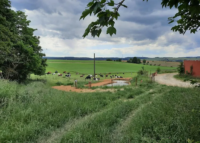 Hof Sorgenfrei * Buch (Rhein-Lahn)