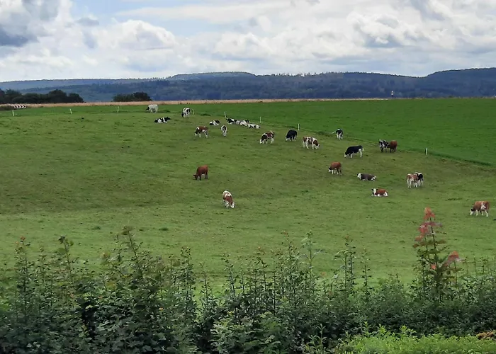 Hof Sorgenfrei Buch (Rhein-Lahn)
