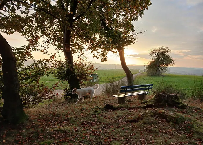 Hof Sorgenfrei Buch (Rhein-Lahn)